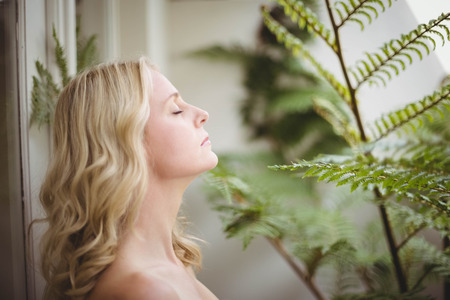 Beautiful woman smelling leaves in the living roomの写真素材