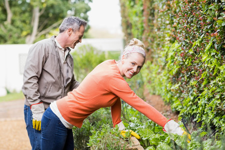 Cute couple doing some gardening in the gardenの写真素材