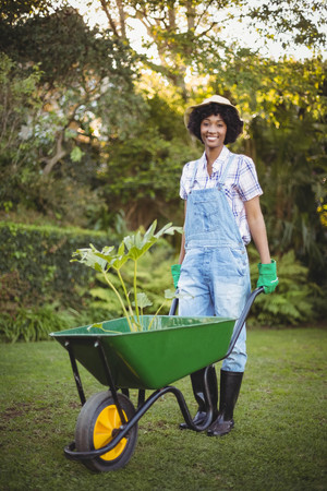 Smiling woman pushing wheelbarrow in the gardenの写真素材
