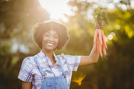 Smiling woman holding carrots in the gardenの写真素材