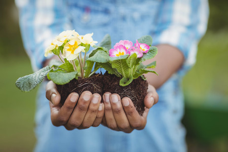 Close up of man holding flowers in the gardenの写真素材