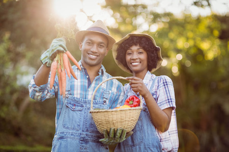 Smiling couple in the garden holding basket and carrotsの写真素材