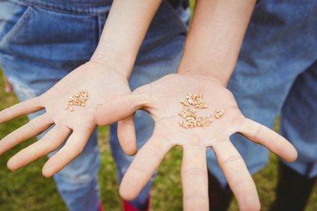 Young couple with seeds in hand in gardenの写真素材