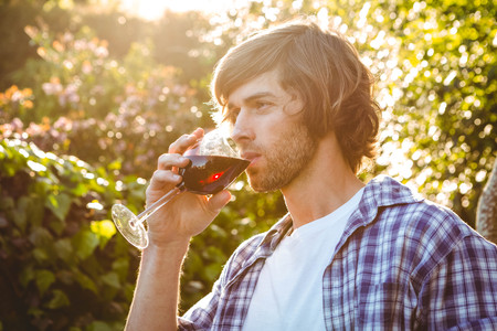 Serious man drinking red wine in the gardenの写真素材