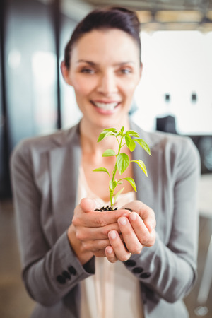 Portrait of happy businesswoman holding plant in officeの写真素材