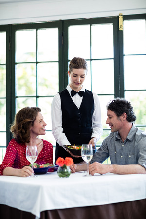 Waitress serving meal to a couple at restaurantの写真素材