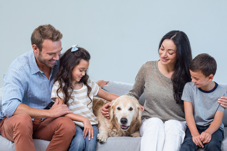 Family petting dog in living roomの写真素材