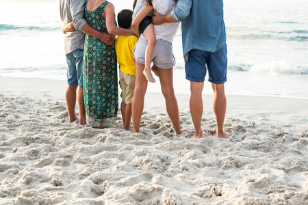 Rear view of a happy family posing at the beach on a sunny day