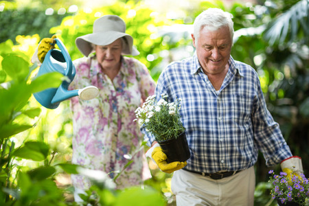 Senior couple with watering can and flower pots walking in gardenの写真素材