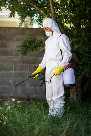 Man spraying insecticide on grass in lawnの写真素材