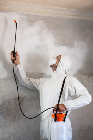 Manual worker using pest spray on wall of houseの写真素材