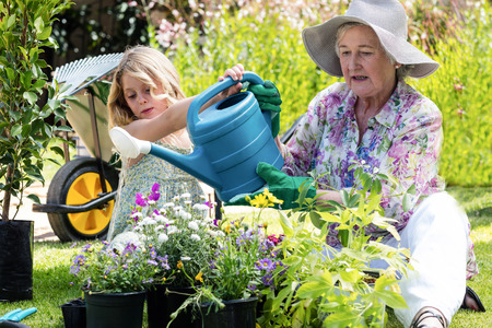 Grandmother and granddaughter watering the plants in the garden on a sunny dayの写真素材