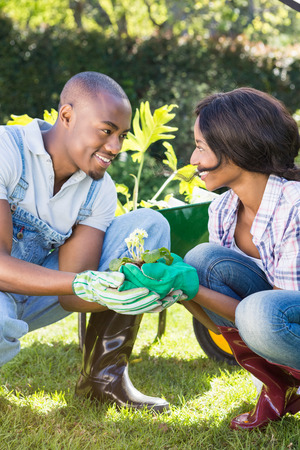 Young couple holding a sapling in their gardenの写真素材