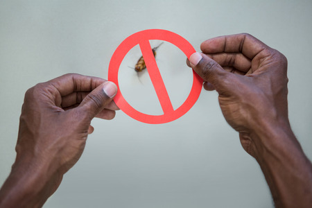Hand holding a prohibition sign on a dead cockroaches at homeの写真素材