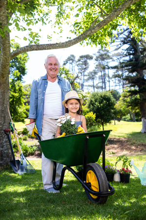 Portrait of grandfather carrying his granddaughter in a wheelbarrow in a parkの写真素材