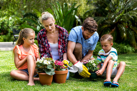 Family gardening with flower pots sitting on grass at yardの写真素材