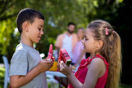 Close-up of brother and sister holding watermelon at yardの写真素材