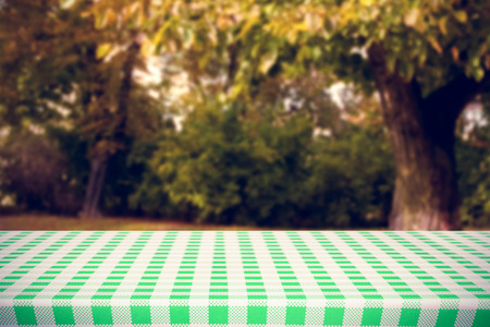 white and green tablecloth against trees and meadow in the parkの写真素材