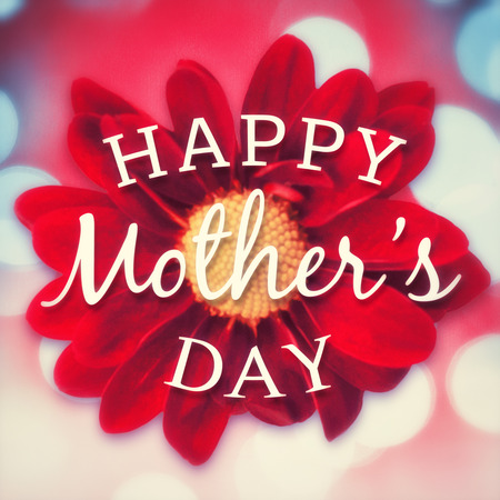 Happy mothers day message on flower backgroundの写真素材