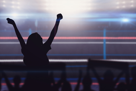 Silhouettes of football supporters against view of lightingの写真素材