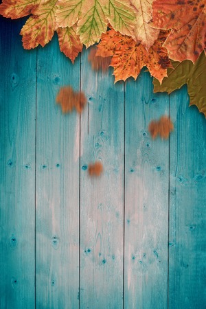 Autumn leaves patternの写真素材