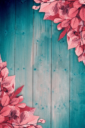 Autumn leaves patternの写真素材