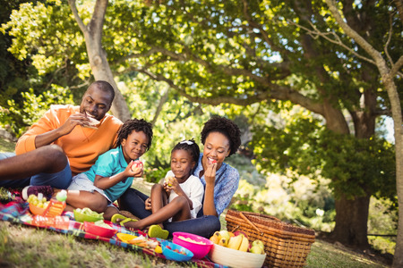 Happy family eating together at parkの写真素材