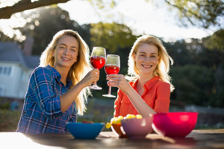 Portrait of beautiful women toasting a glasses of red wine in park