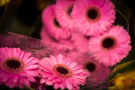 Close-up of bouquet of flowers at a flower shopの写真素材