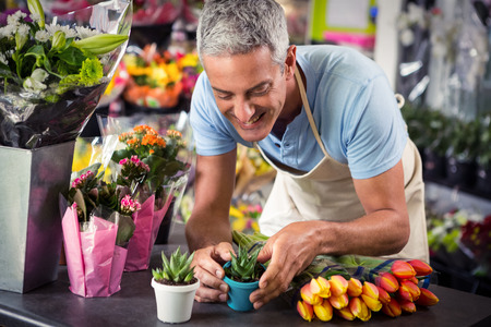 Male florist arranging flower pot at his flower shopの写真素材