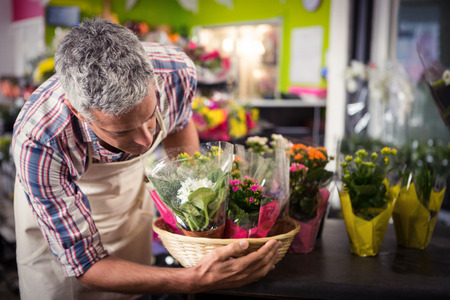 Male florist arranging bouquet of flower at his flower shopの写真素材