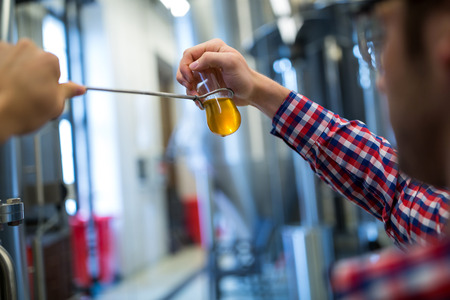 Close-up of brewer testing beer at brewery factoryの写真素材