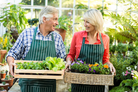 Happy couple holding plant crates while standing at greenhouseの写真素材