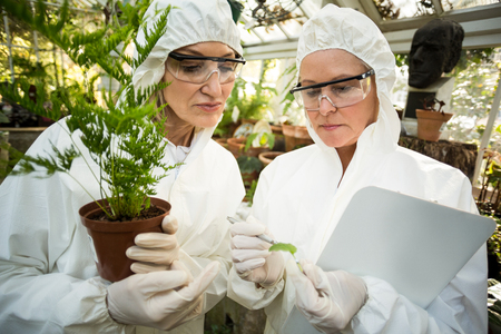 Female scientists in clean suit examining plants at greenhouseの写真素材