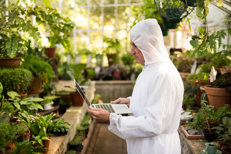 Side view of male scientist in clean suit using laptop at greenhouseの写真素材