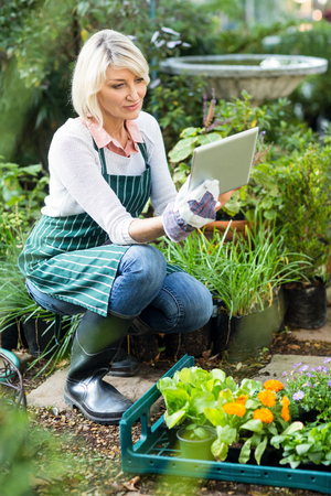 Mature female gardener using digital tablet while working at greenhouseの写真素材