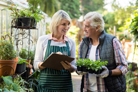 Couple smiling while working outside greenhouseの写真素材