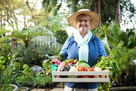 Portrait of happy confident mature female gardener carrying vegetables crate at gardenの写真素材