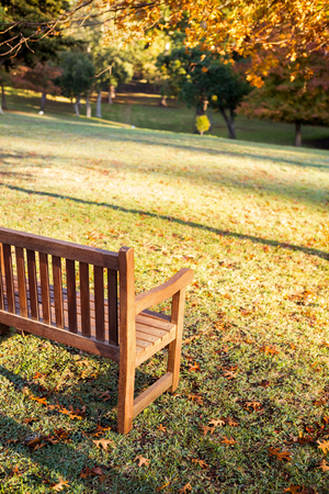 Image of a bench in a park during the autumnの写真素材