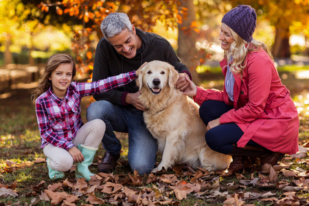 Smiling family stroking dog while crouching at park during autumnの写真素材