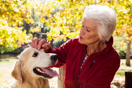 elderly woman sitting with dog in the parkの写真素材