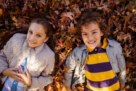 High angle portrait of smiling siblings lying on autumn leaves at parkの写真素材