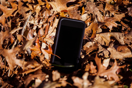 High angle view of mobile phone amidst autumn leavesの写真素材