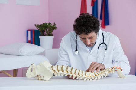 Physiotherapist examining a spine model in clinicの写真素材