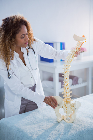 Smiling physiotherapist looking at spine model in clinicの写真素材
