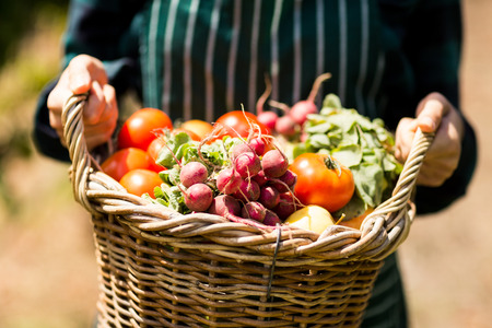 Mid section of female farmer holding a basket of vegetables in the vineyardの写真素材