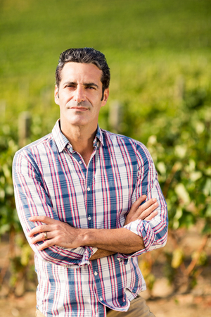 Portrait of male vintner standing with arms crossed in vineyardの写真素材