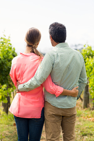 Couple standing with arm around and looking at nature in vineyardの写真素材