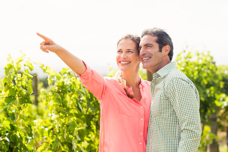 Happy couple standing in vineyard and pointing at nature on a sunny dayの写真素材
