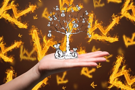 composite of hand holding money tree over burning graph backgroundの写真素材
